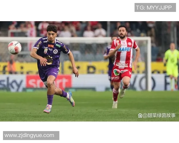 哈特堡格主场迎战林茨双方争夺联赛关键积分之战 哈特堡格主场迎战林茨双方争夺联赛关键积分之战