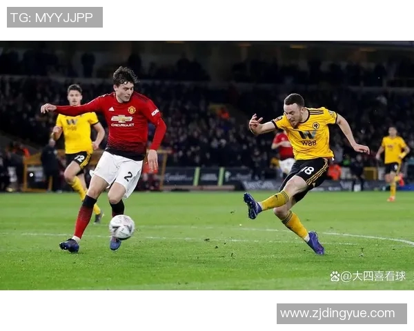 2017年狼队与布莱顿激战回顾精彩瞬间与战术分析