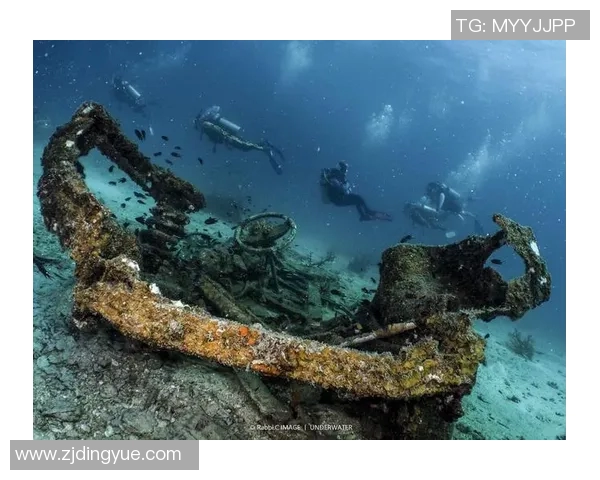 加莱诺的艺术魅力与文化影响力探讨:从历史到现代的多维视角 加莱诺的艺术魅力与文化影响力探讨:从历史到现代的多维视角
