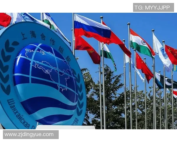 委热鹄与伊朗的较量揭示了国际足球的竞争与合作新局面